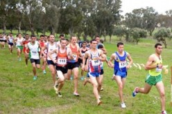 22 دولة تؤكد مُشاركتها في البطولة الإفريقية للعدو الريفي بالشلف