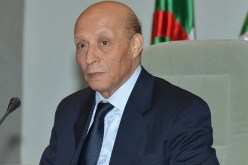 ولد خليفة يشارك بكانساس سيتي مئوية إنضمام أمريكا الى الحرب العالمية الاولى