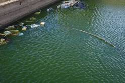 هـــذه أســــرار وفــــاة الطفــــل رمــــزي.. بالتفــــاصيــــل!