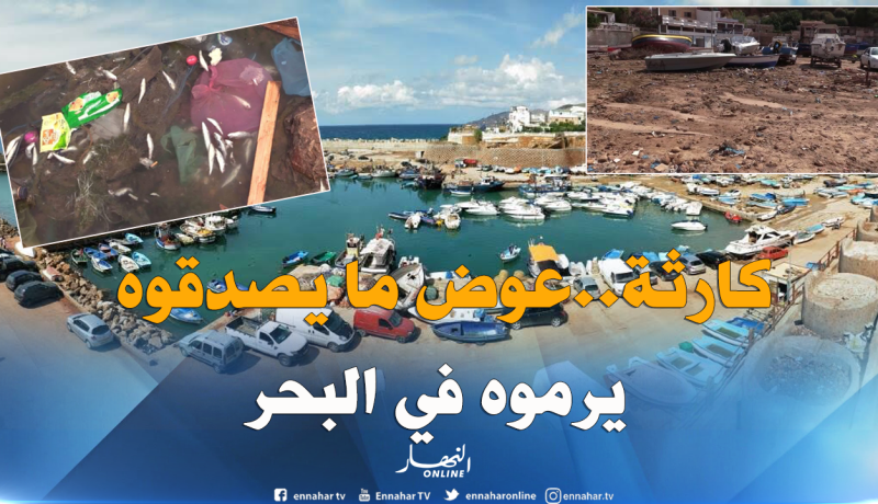بالصور ..صيادون يرمون ألاف صناديق السردين في البحر لعجزهم عن تسويقه بوهران