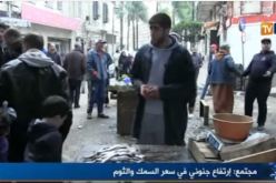 بالفيديو .. السردين 1000دج والثوم 1400 دج والمواطن حاير