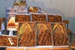 حجز أكثر من 13 قنطار تمر مهربة للمغرب في مغنية