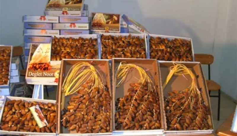 حجز أكثر من 13 قنطار تمر مهربة للمغرب في مغنية