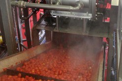 طماطــم ممزوجــة بـــ«البــتراف» تبــاع للجزائــريــين