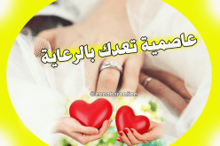   أمينة وتقية تعدك بعلاقة مثالية