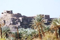 استفادة اكثر من 8 الاف طالب من التكوين في مجال السياحة