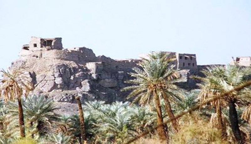 استفادة اكثر من 8 الاف طالب من التكوين في مجال السياحة