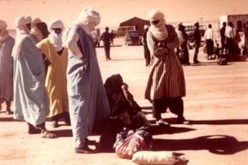 أطراف تحاول تحريض‮ ''‬التوارڤ‮'' ‬وإثارة الفتنة في‮ ‬الجنوب‮ ‬