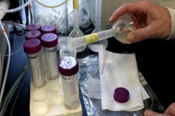 الجزائر تضع 67 معيارا لمراقبة المواد الغذائية