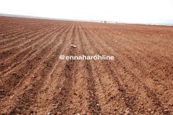 عليوي: 5 ملايين هكتار من الأراضي بور وبدون ماء