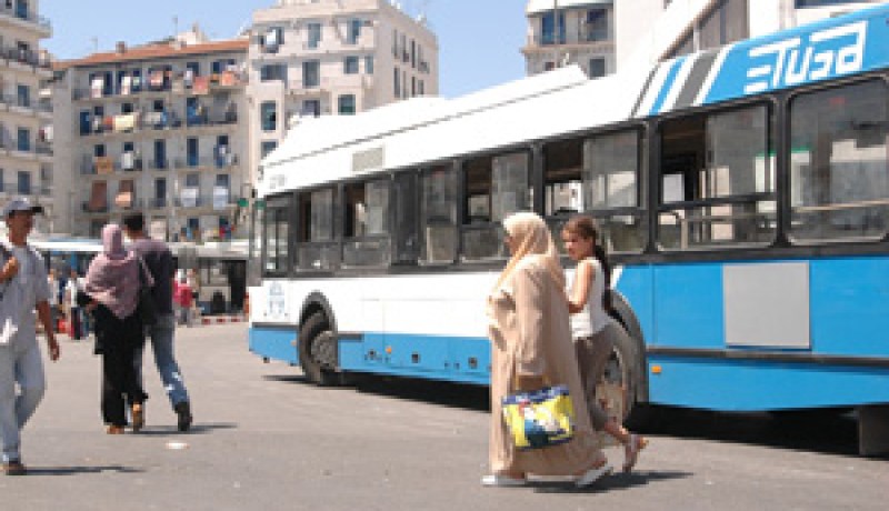 تعتبر من أرقى أحياء العاصمة: نقص فادح لوسائل النقل ببلدية حيدرة