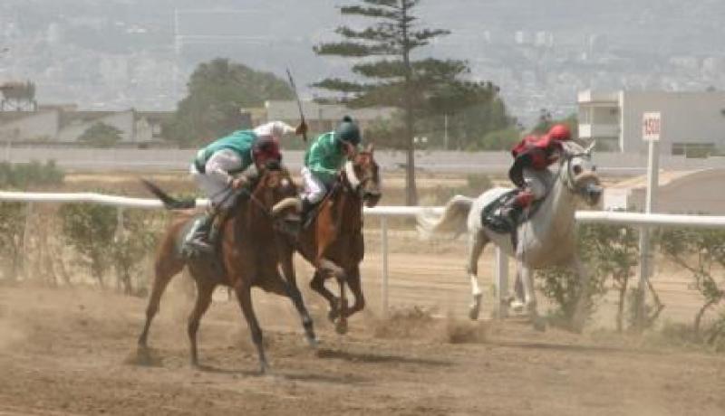 تحويل عشرات الملايير بـ الشكارة تضخيم في الفواتير واختلاسات في شركة سباق الخيل