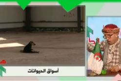 بالفيديو…أسواق مخصصة للحيوانات في بوسماعيل؟