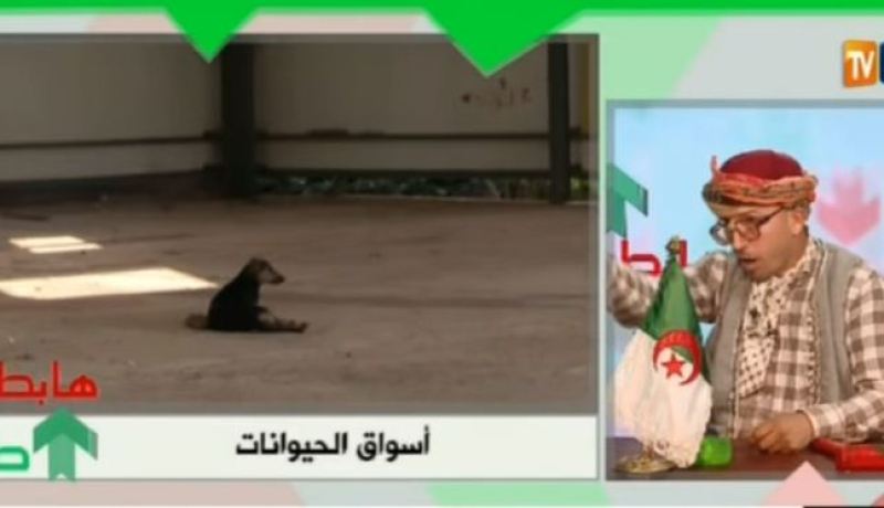 بالفيديو…أسواق مخصصة للحيوانات في بوسماعيل؟