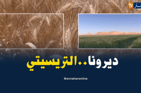 فلاحة: إنتاج القمح والشعير يتضاعف…ومشاكل الفلاحيين تتواصل