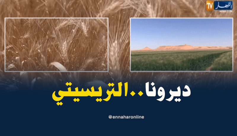 فلاحة: إنتاج القمح والشعير يتضاعف…ومشاكل الفلاحيين تتواصل