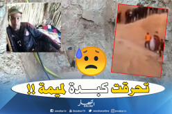 بالفيديو: والدة عياش تخاطر بحياتها من أجل إبنها!