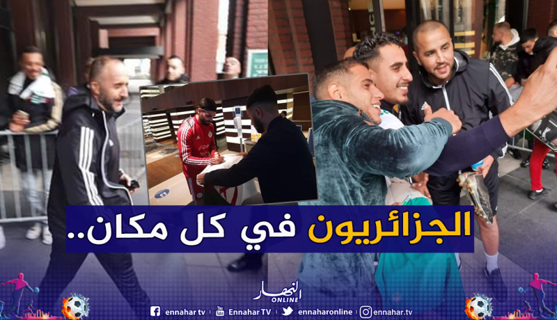 رغم “الويكلو”.. الجزائريون ينتقلون لمُساندة الخضر في هولندا
