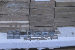 توقيف 40 بارون مخدرات وحجز 24 قنطار كيف في الحدود مع المغرب