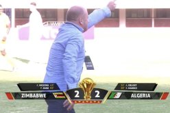 زيمبابوي يعدل النتيجة أمام الخضر