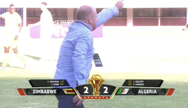 زيمبابوي يعدل النتيجة أمام الخضر