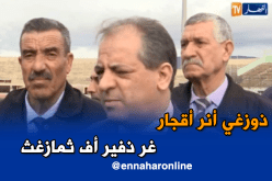 لا يمكن التراجع عن ترقية اللغة الأمازيغية