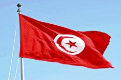 قرار بتقليص عدد أعضاء الحكومة قبل إحالتها على المجلس التأسيسي لنيل الثقة