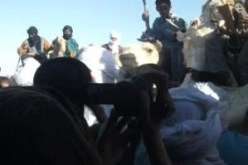 210 طفل جزائري غير مسجل بقنصلية اقــاديز