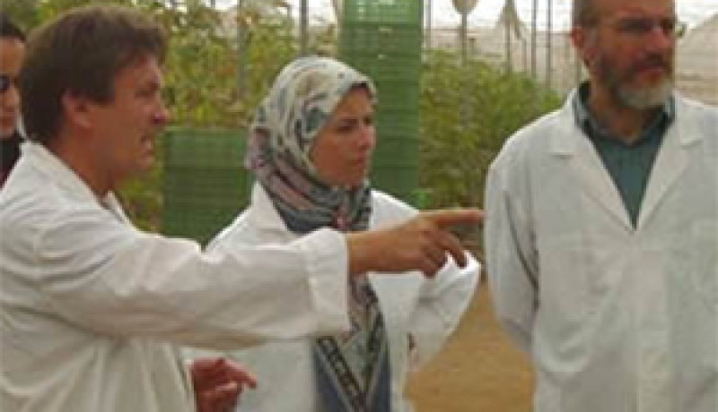 برنامج لتوظيف 1500 عون مراقبة النوعية والجودة من الجامعيين خلال ثلاث سنوات
