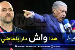 بالفيديو.. “بن فليس”:”هذا مافعله بلماضي مع الخضر”