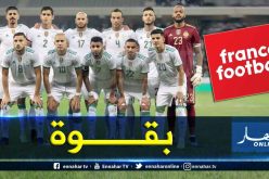 نجوم الخضر يكتسحون التشكيلة المثالية الإفريقية لسنة 2019