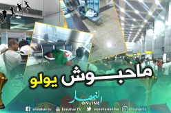 300 مناصر لم يعودوا بعد مواجهة الفيلة  إلى الجزائر