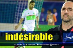 “تايدر” يرد على “بلماضي”:”أنا مثالي”