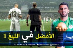 بالفيديو.. محرز يمازح سليماني في المنطقة المختلطة