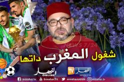 بالفيديو..ملك المغرب: “لاحظوا فقط ما قام به المغاربة حكومة و شعبا لتشجيع المنتخب الجزائري”