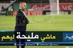 “بلماضي” يصدم بعض اللاعبين بعد مواجهة الكونغو الديمقراطية