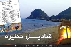 مديرية الصيد البحري لولاية جيجل تحذر من قناديل سامة تتسبب بسكتة قلبية