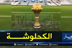 كأس افريقيا حاضرة بالفيلدروم رفقة بلماضي