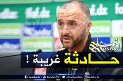 القطريون يروون حادثة غريبة لبلماضي مع نادي الدحيل!
