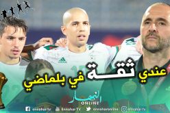 بالفيديو.. “فيغولي” يكشف سر التغلب على السنغال وتحقيق اللقب