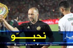 بلماضي: ” أحب محرز..لأنه يشبهني”