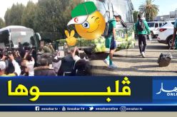 بالفيديو.. هكذا أُستقبل “الخضر” عند وصولهم للفندق بليل !!