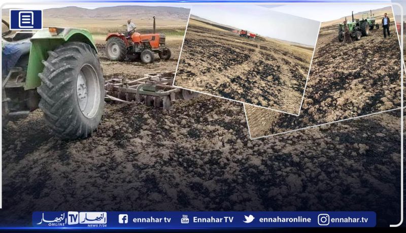 غليزان..حريق يأتي على حوالي 50 هكتار من القمح الصلب بسهل “قري” بسيدي محمد بن علي