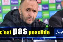 “بلماضي” ينفعل ويوقف الندوة الصحفية لهذا السبب !!