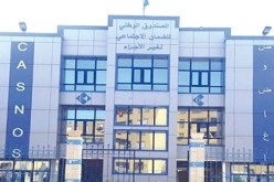 “كازنوس” يعلن عن إجراءات تسهيلية للمشتركين