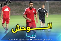 ديلور ينفجر في أول لقاء ويقود الخضر لفوز ودي قاتل !!