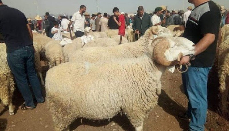 ميلة: غلق جميع أسواق الماشية والابقاء على سوقي الخضر والفواكه بشلغوم والبيض بواد سقان