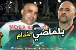 بالفيديو.. “رضا الفيل” يقصف بن شيخ:”خلي بلماضي يخدم”