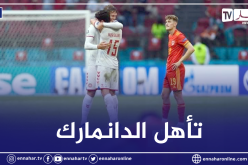 الدنمارك تقطع تأشيرة التأهل إلى نصف النهائي بعد الفوز بثنائية أمام التشيك