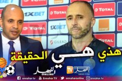 بالفيديو.. وزير الرياضة يوضح حقيقة رحيل “بلماضي” عن “الخضر”